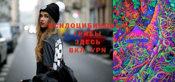 a pvp Алзамай