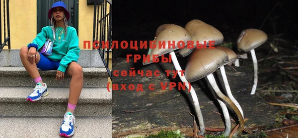 spice Алексин
