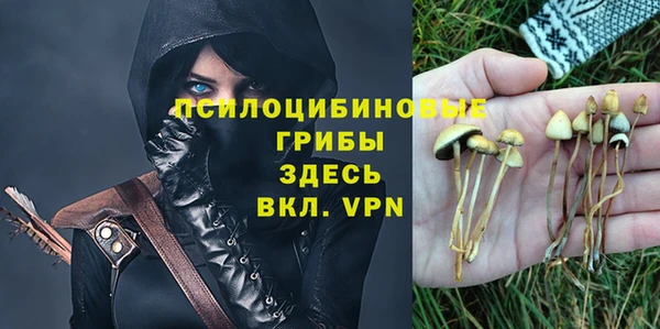 a pvp Алзамай