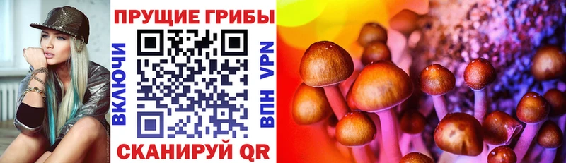 Галлюциногенные грибы Psilocybine cubensis  Бронницы 